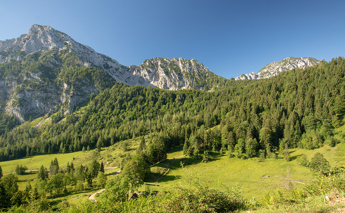 Die Steiner Alm auf der Nordseite des Hochstaufen