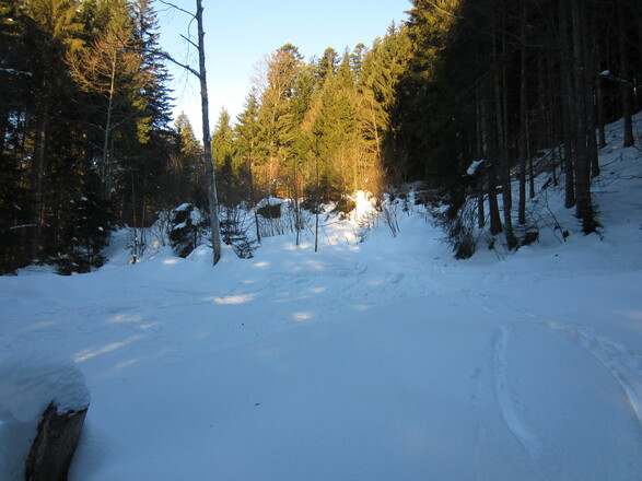 an der ersten Kehre gerade in den Rückeweg