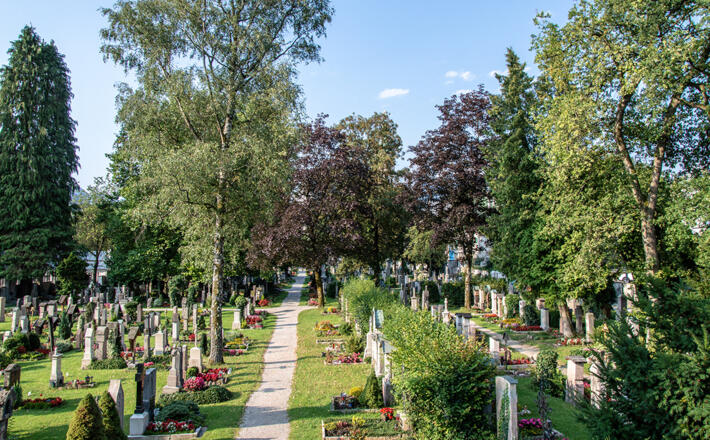 Blick über den Alten Friedhof