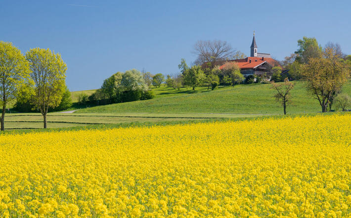 Steinhögl © RoHa Fotothek