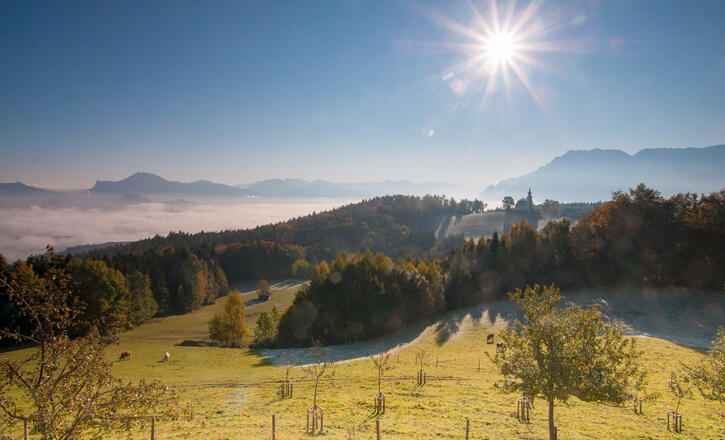 Sonnenaufgang über dem Johannishögl