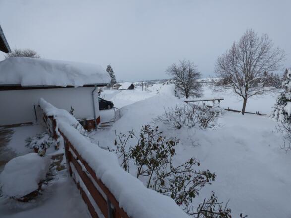 Blick auf die Terrasse und Einfahrt