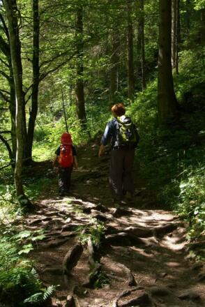 Wandermöglichkeit Wasserfallweg