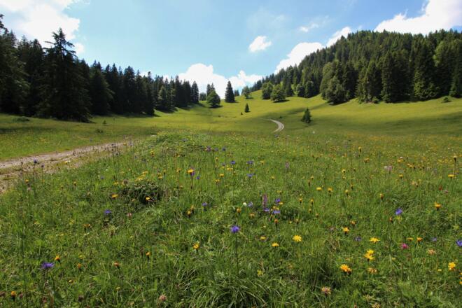 Himmelreich am Kienberg