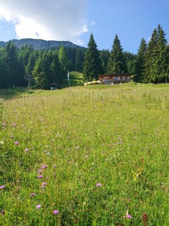 Tiroler Stadl oberhalb Pfrontens 