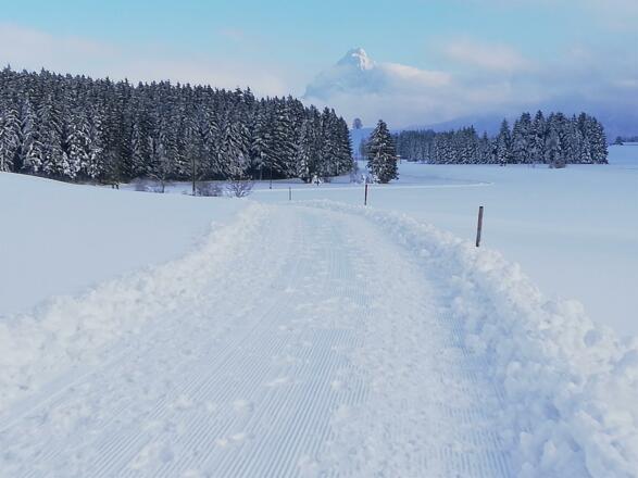 Spaziergang am späten Nachmittag