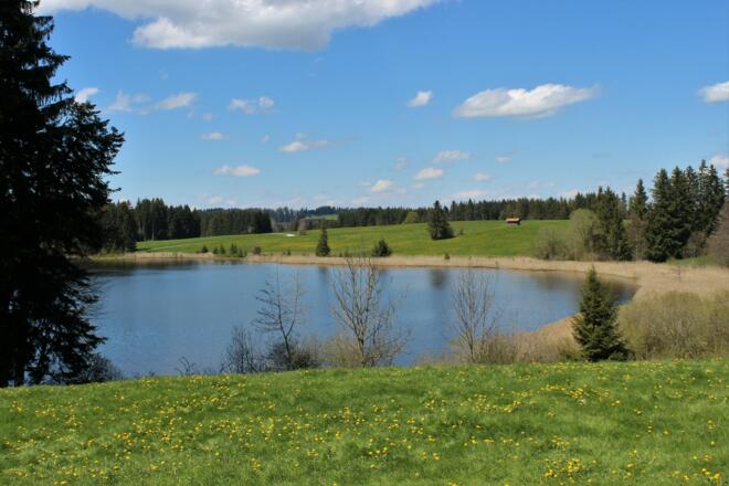 Der Kögelweiher - mit Badestelle 