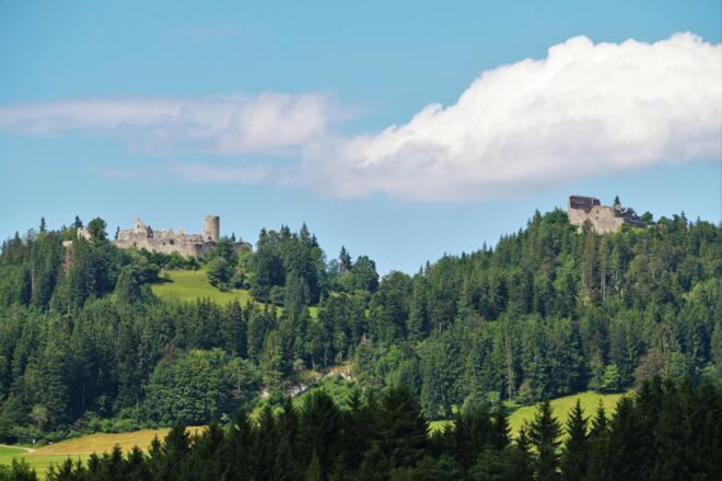 Zwillingsruinen Hohenfreyberg und Eisenberg