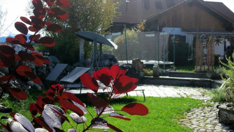 Vielleicht auch Ihr Schattenplatz?