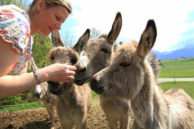 Landwirtschaft hautnah...