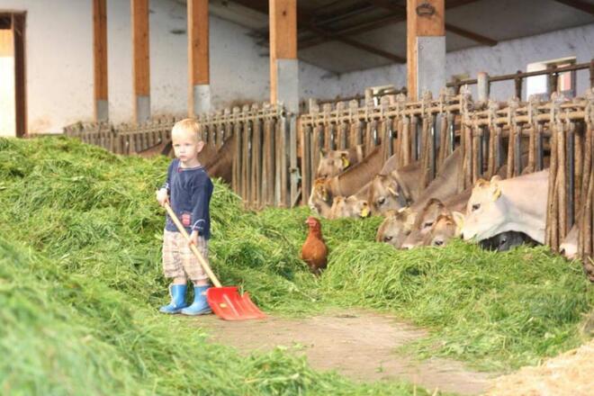 Bei uns im Stall - Landwirtschaft hautnah erleben