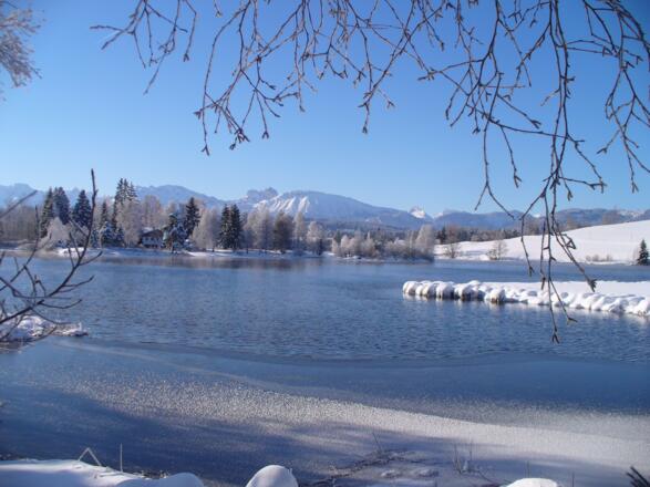 Raureif Schwaltenweiher
