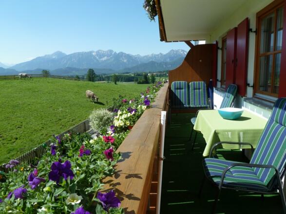 Ausblick von der Alpenrose