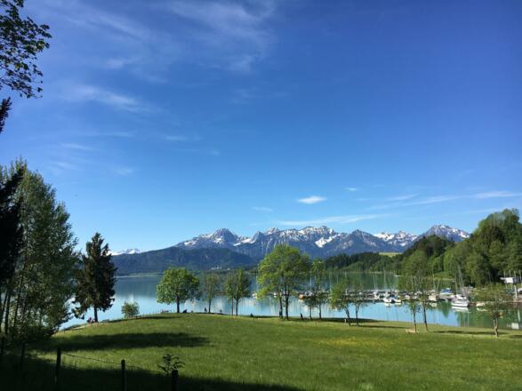 Der Forggensee im Frühling