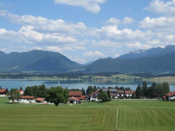 Blick auf Forggensee