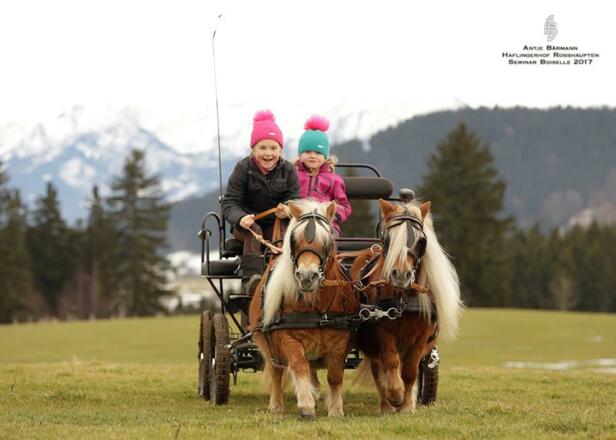 16708347_10210559057189436_6180628588599856119_n