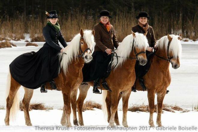 16641104_1293216167433394_7795118076175830453_n