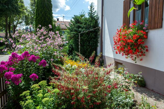 Aussenfotos_190816_6478