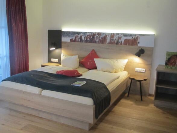 haflingerrosshaupten3