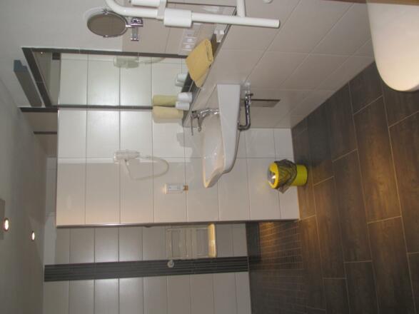 haflingerrosshaupten23-c