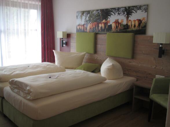 haflingerrosshaupten23