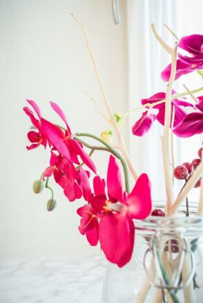 gaestehaus-herb_fewo-zugspitzblick_MD1_8722