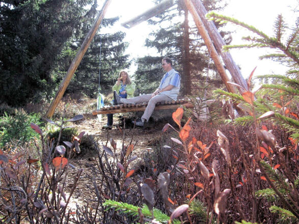 Floß im Moos - Allgäuer Picknickplätze