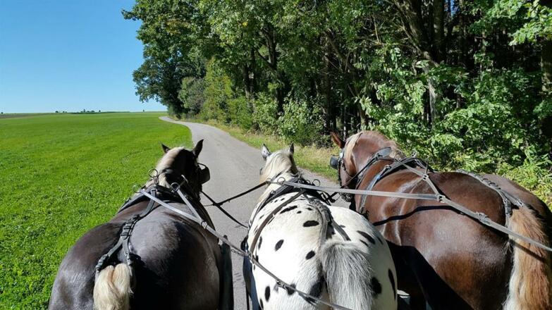 20160929_150125_resized