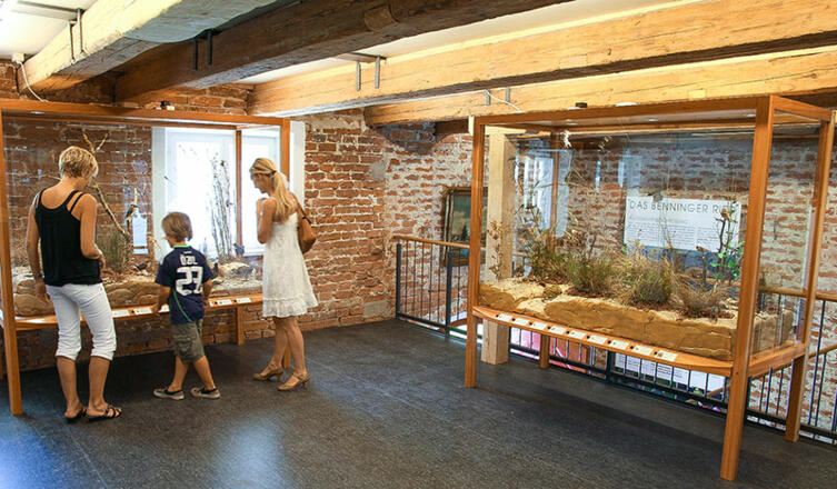 Riedmuseum Benningen