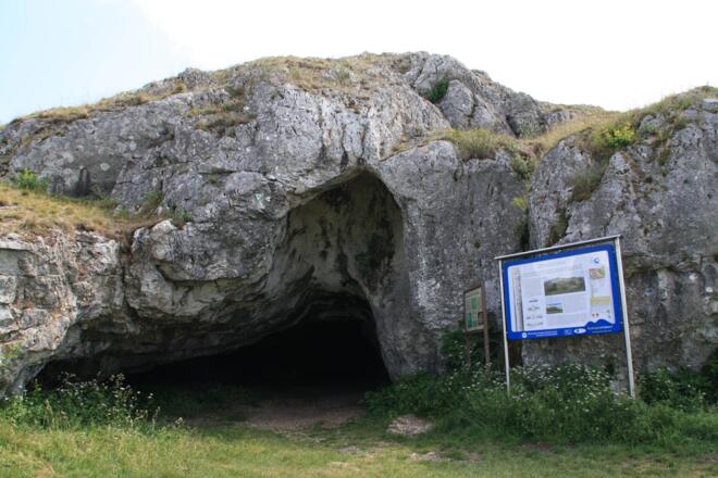 Infotafel Ofnethöhle