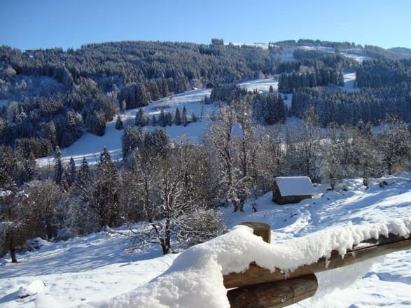Waibelhof - Winterwandern