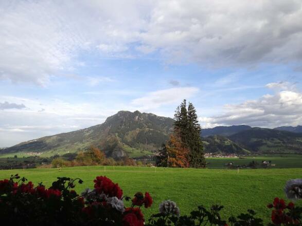 Panoramablick - Grünten