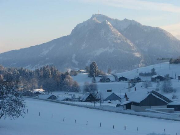 Ausblick Gunzesried und unser Hausberg Grünten