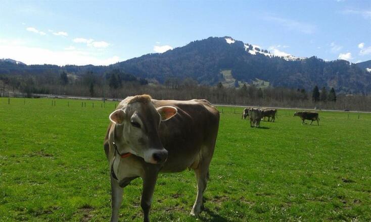 Frühling: erste Tage draussen