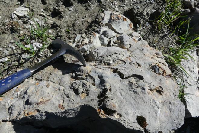 Kalkstein der Partnach-Formation mit Eiseneinlagerungen