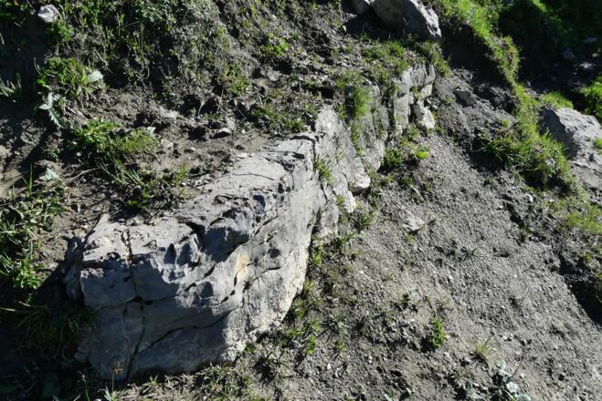 Kalksteinbank zwischen Ton- und Mergelsteinen der Partnach-Formation
