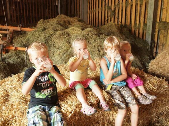 Die frische Milch schmeckt gut