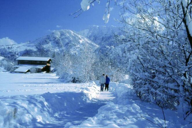 Hindelang_Winterwandern_um