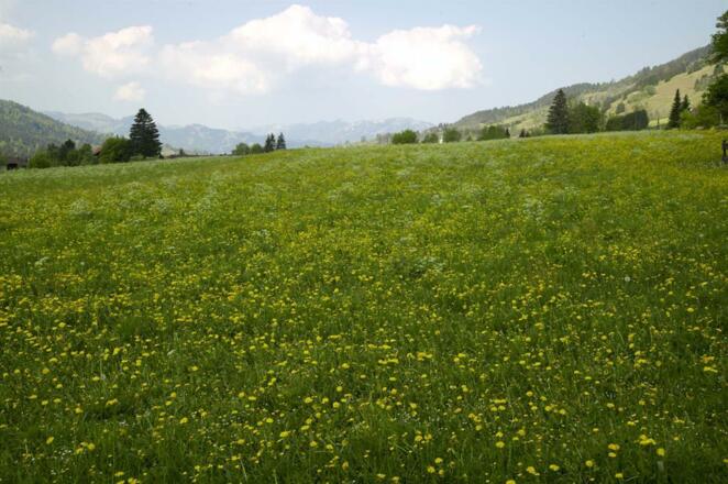 Aussicht nach Westen
