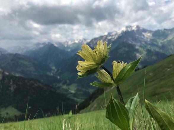 cbc3e6ef-10d0-4563-a99d-13d827e14415