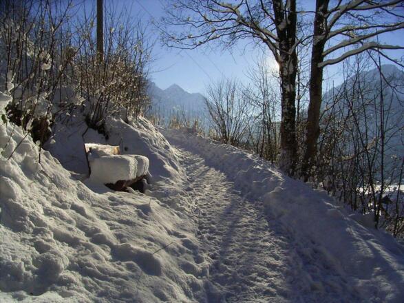 Bild040_Neg.Nr.40_1280x1024