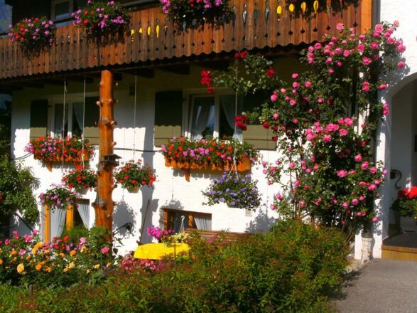 Eine schöne Ecke vor dem Haus