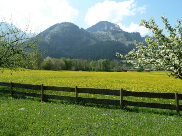 Ausblick vom Wohn- und Schlafzimmer