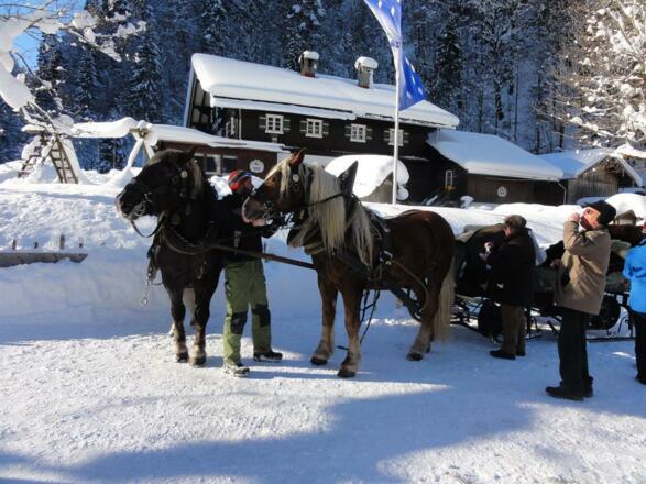 Kutschfahrt zum Giebelhaus