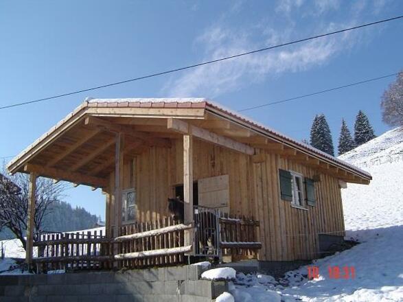 Pony Seppl zum Gedenken verst120214