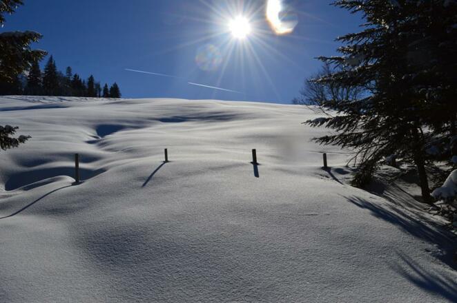 Schneeschuhtour_2015_03_06_009