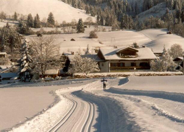Langlauf-Loipe direkt am Haus