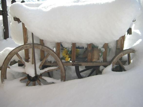 Bilder 23.4.09 Foto Siglinde 084