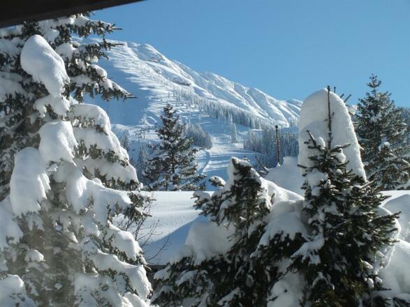 Aussen_Blick_aus_der_Wohnung_Richtung_Iseler_02