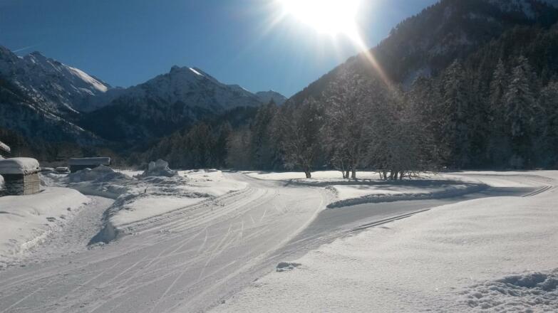 Ein herrlicher Langlauftag